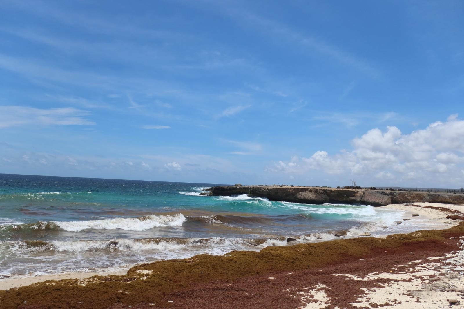 Branding langs de kustlijn met sargassum-wier op Bonaire