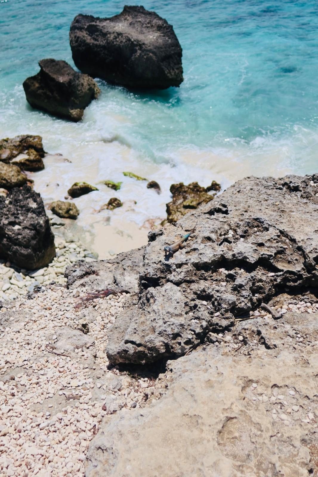 Rotskust met turquoise zee en kalksteen op Bonaire